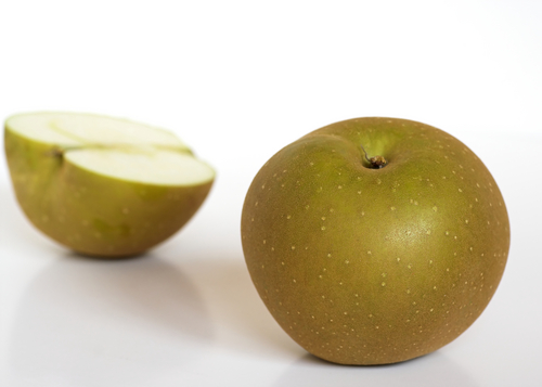 APPLE RUSSET 