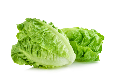 LETTUCE COS 