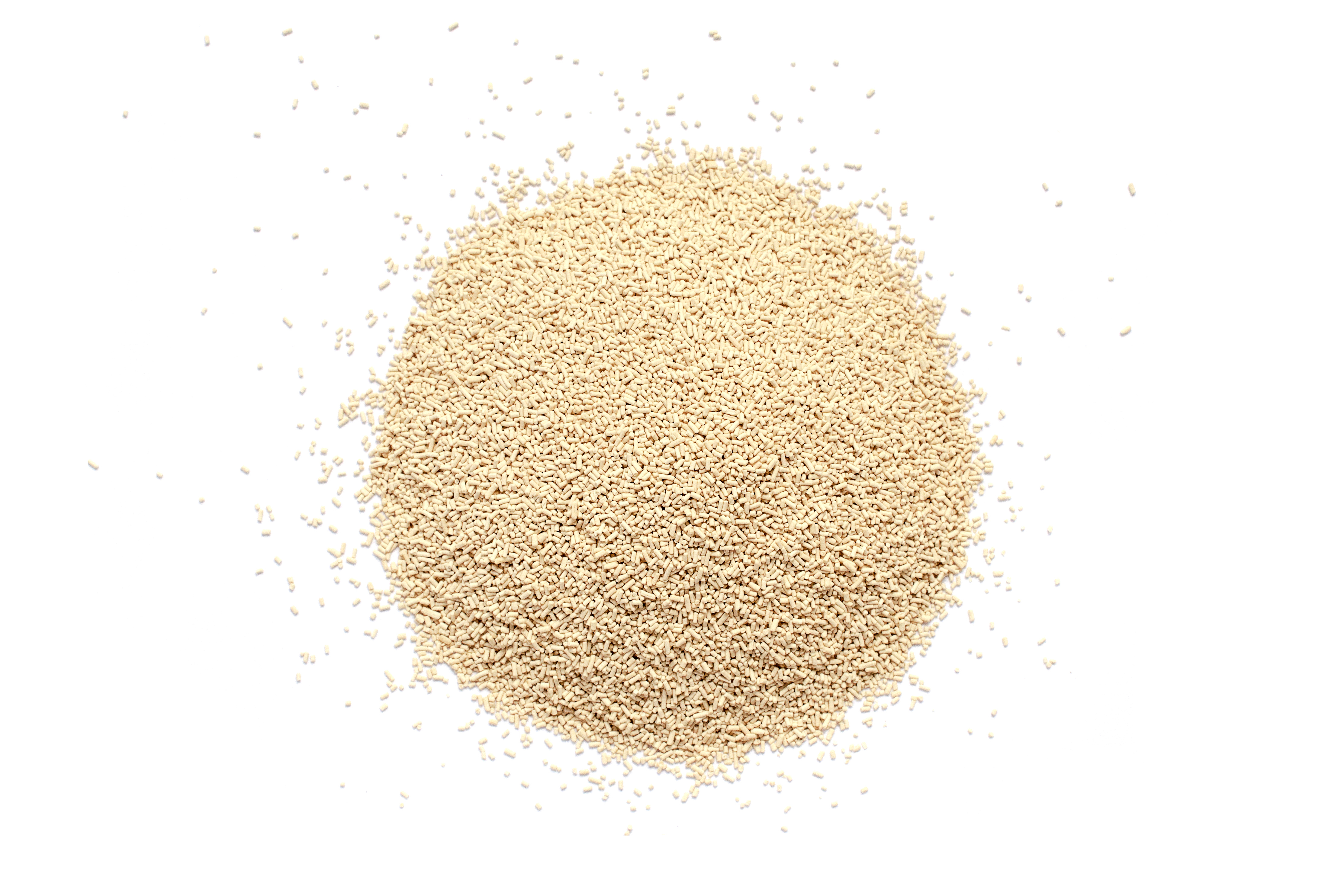 DRIED YEAST
