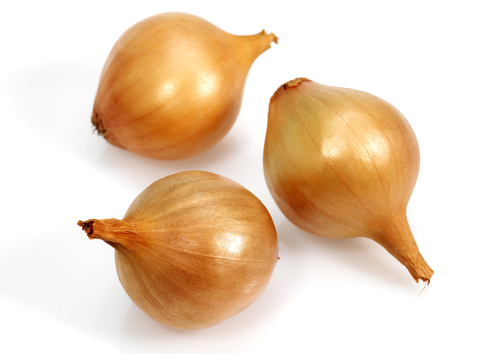GRELOT ONION WHITE 