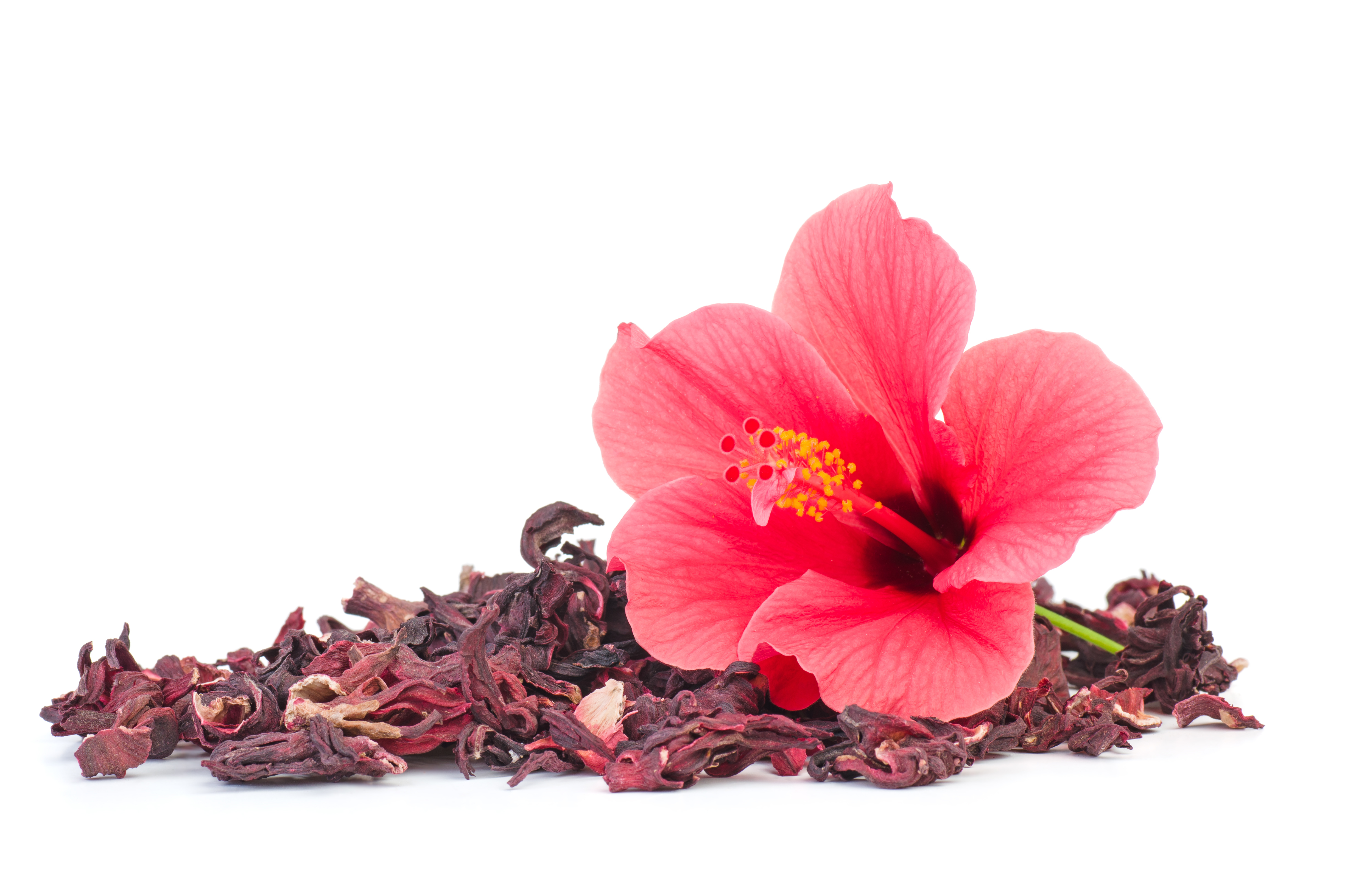 DRIED HIBISCUS