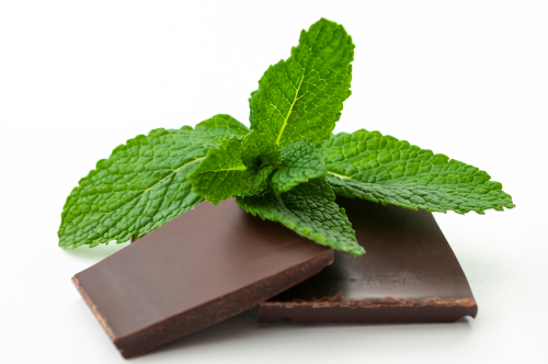 MICRO CHOCOLATE MINT  