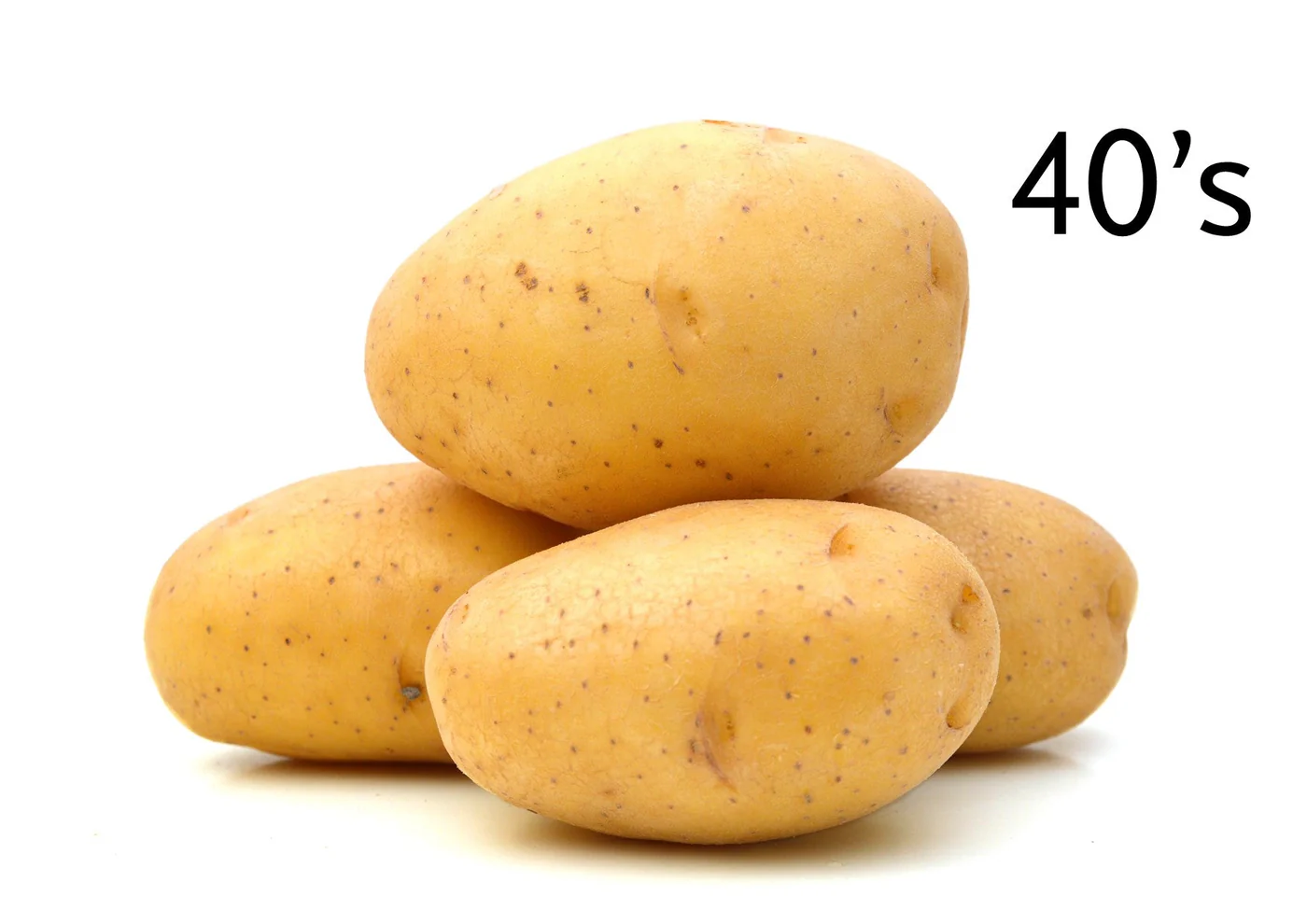 POTATOES JACKET 40'S 