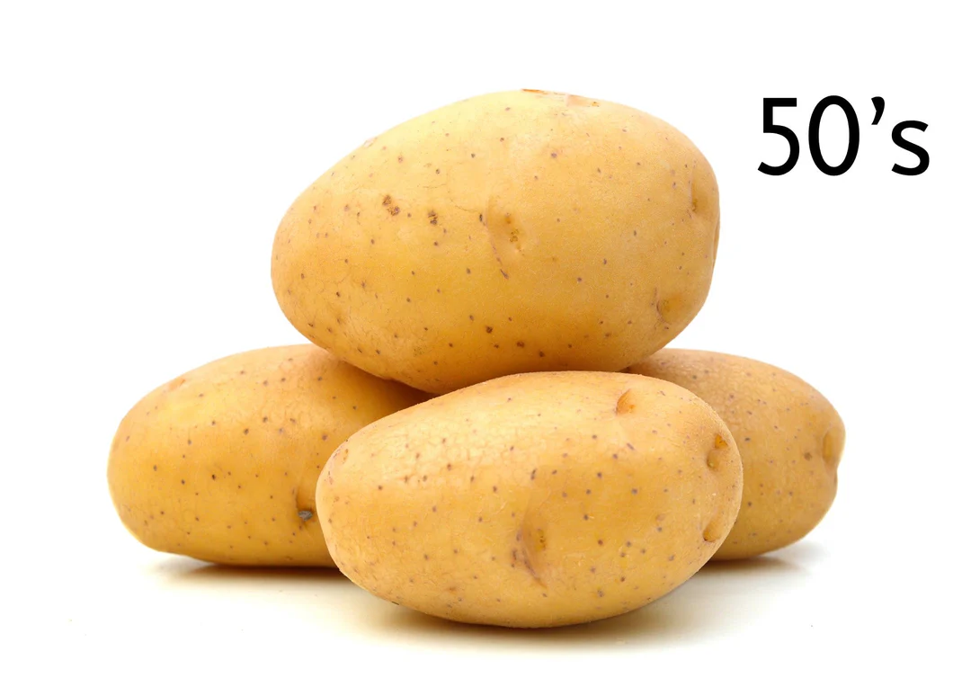 POTATOES JACKET 50'S  