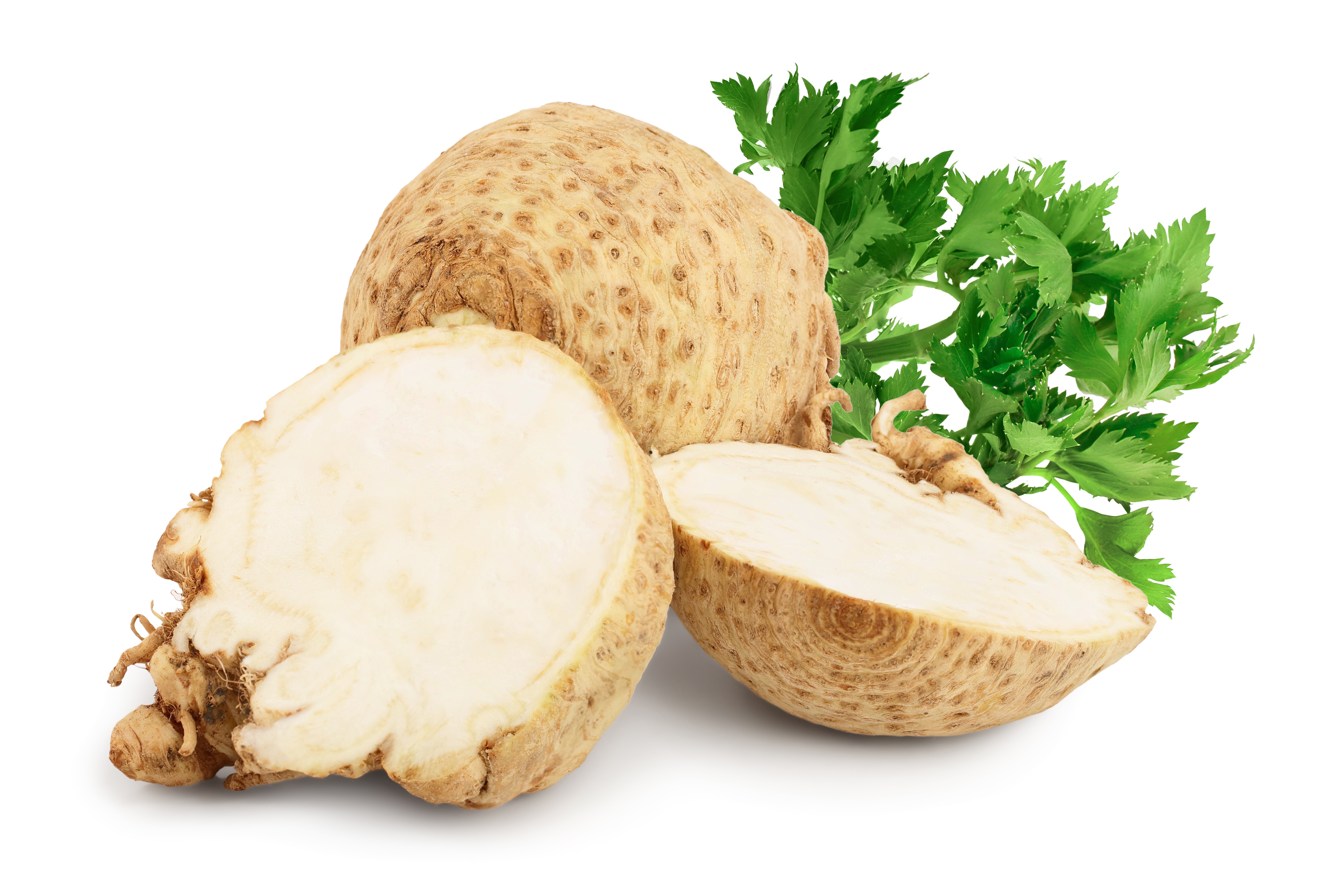 PREP CELERIAC FONDANT OVAL