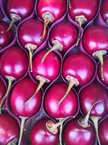 TAMARILLO RED  