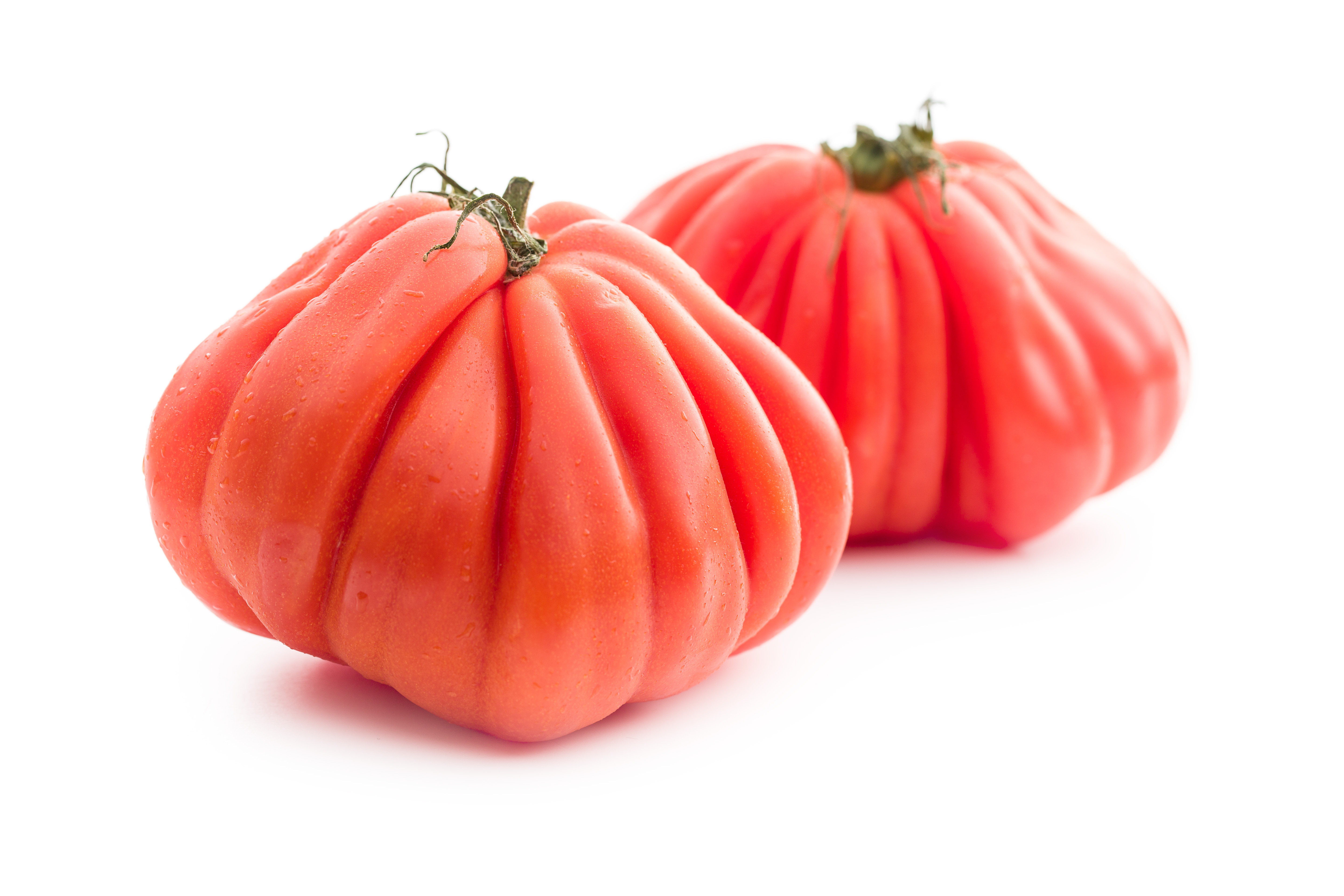 TOMATO COEUR DE BOEUF ISLE OF WIGHT