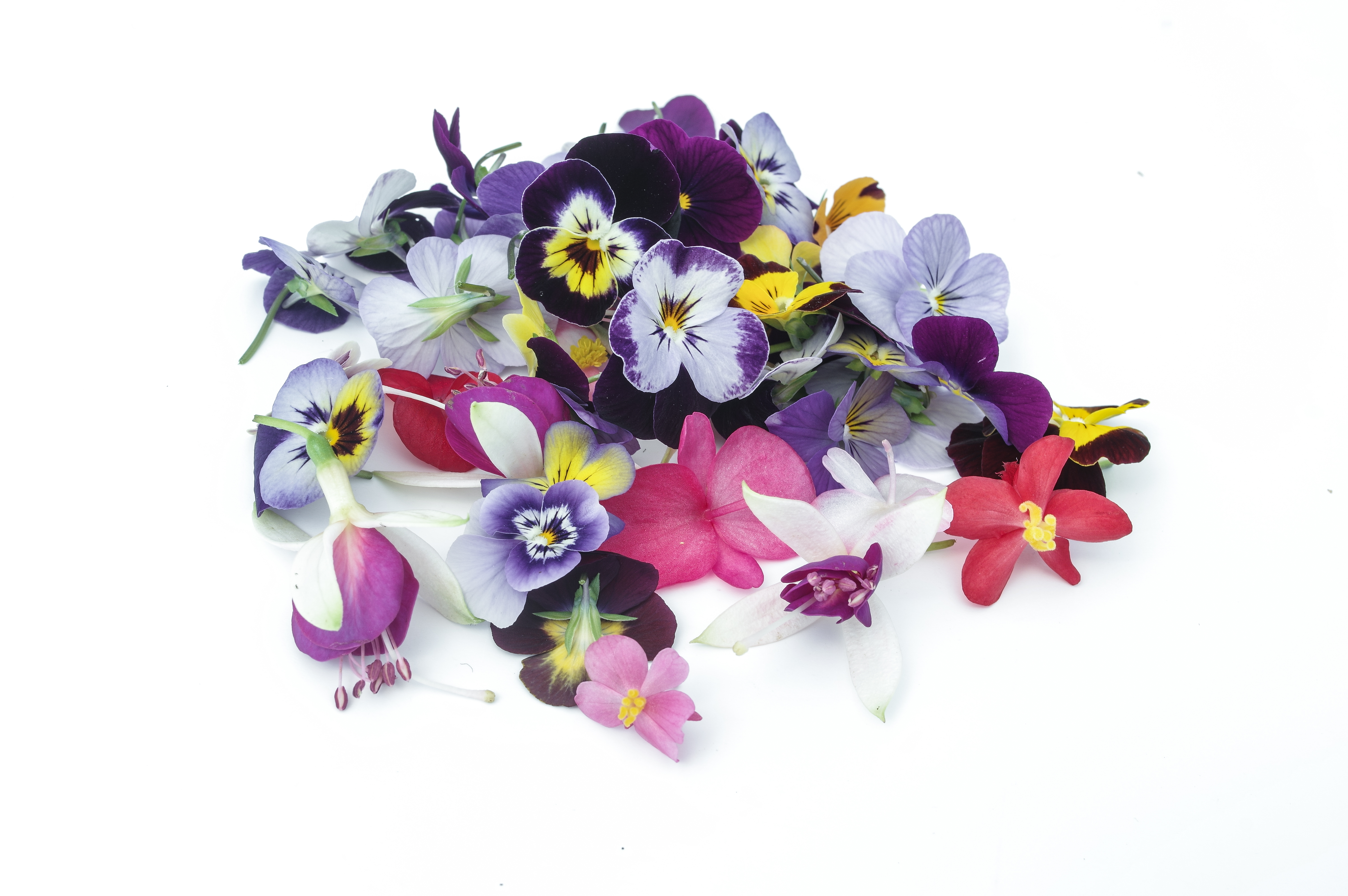 Fresh Herbs and Cresses 