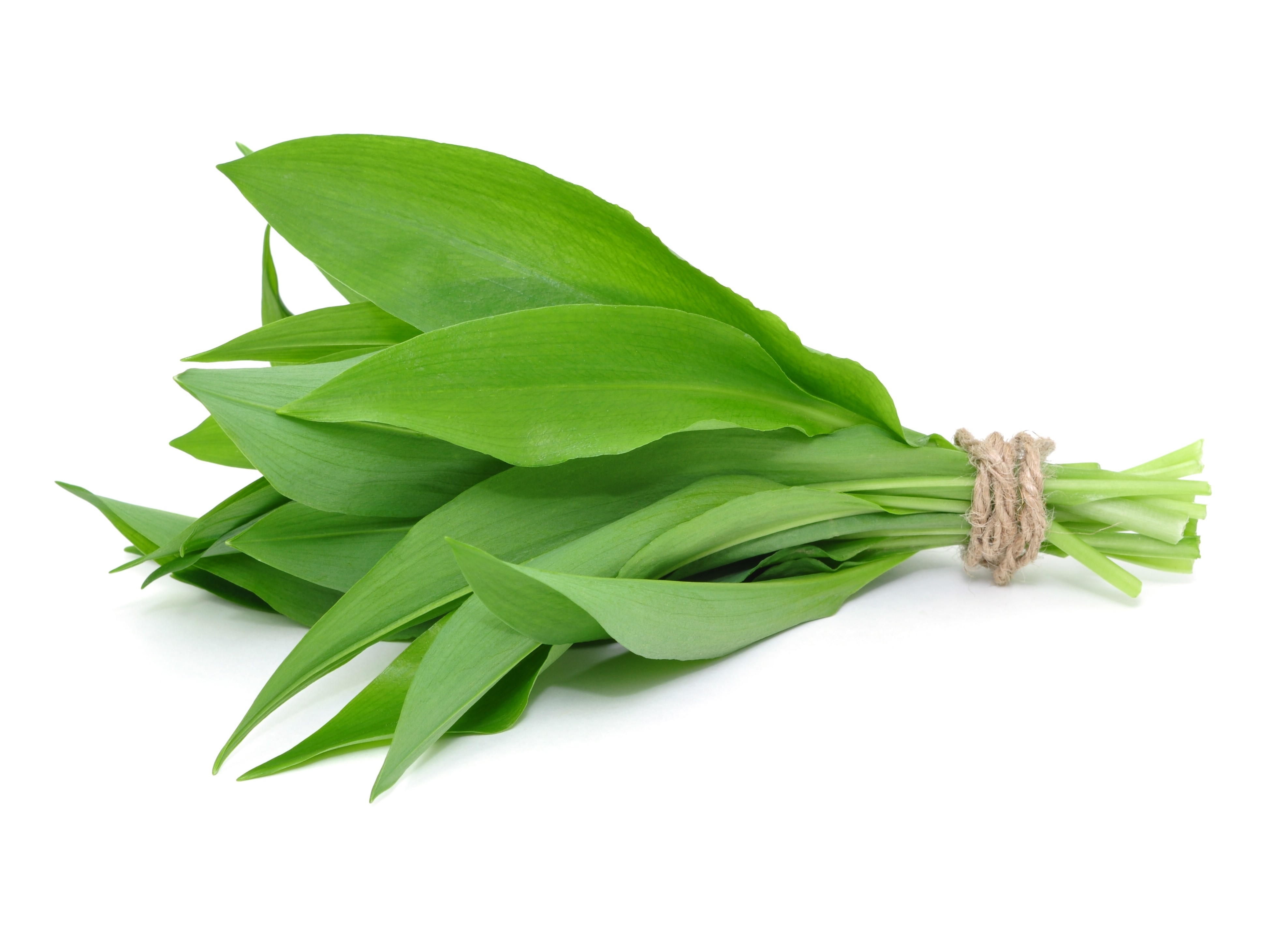 Forage and Wild produced