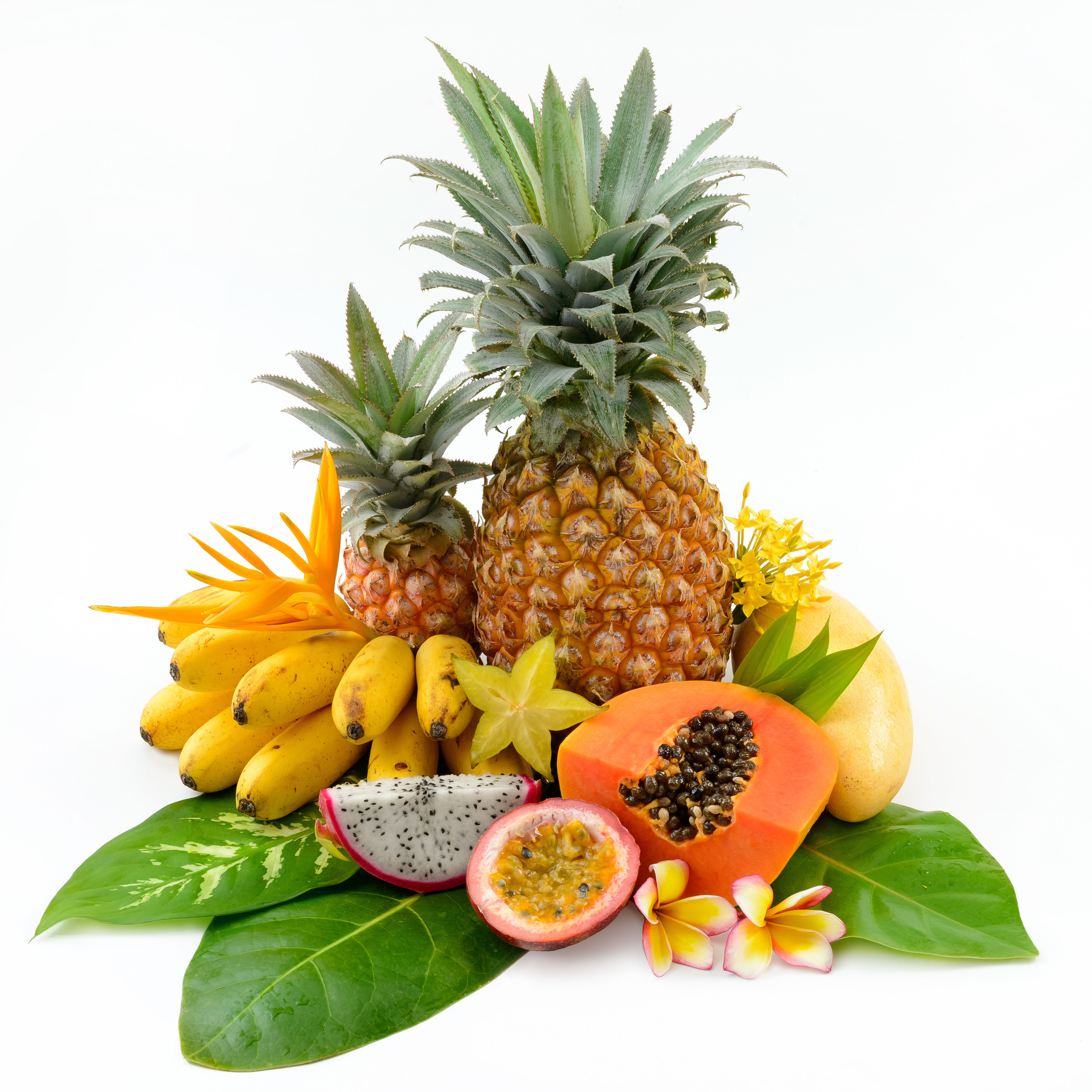 Fruits and Exotics